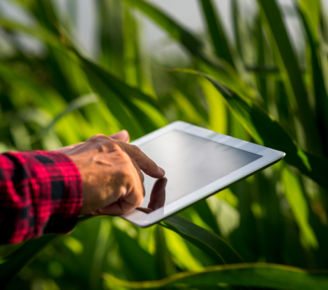 homem-usando-tablet-campo